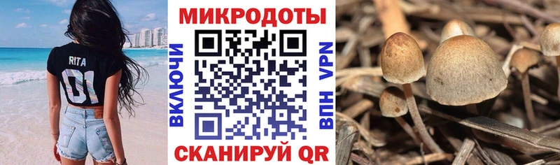 купить закладку  кракен ссылки  Галлюциногенные грибы MAGIC MUSHROOMS  Усинск 